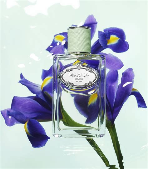 infusion de iris prada fragrantica|infusion d'iris prada 100ml.